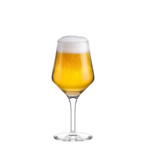Tall Craft Beer Glass 14½ oz